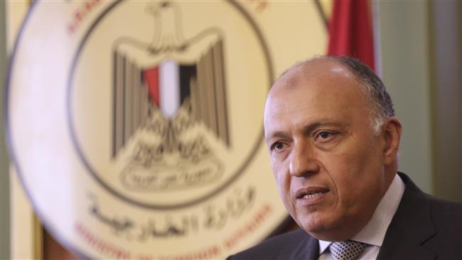 Egyptian Foreign Minister Sameh Shoukry (Photo by AP)
