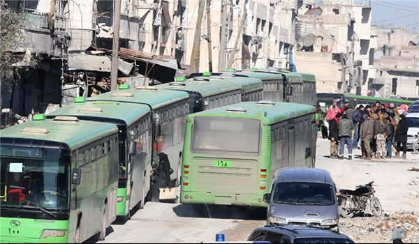 Green Buses in Syria