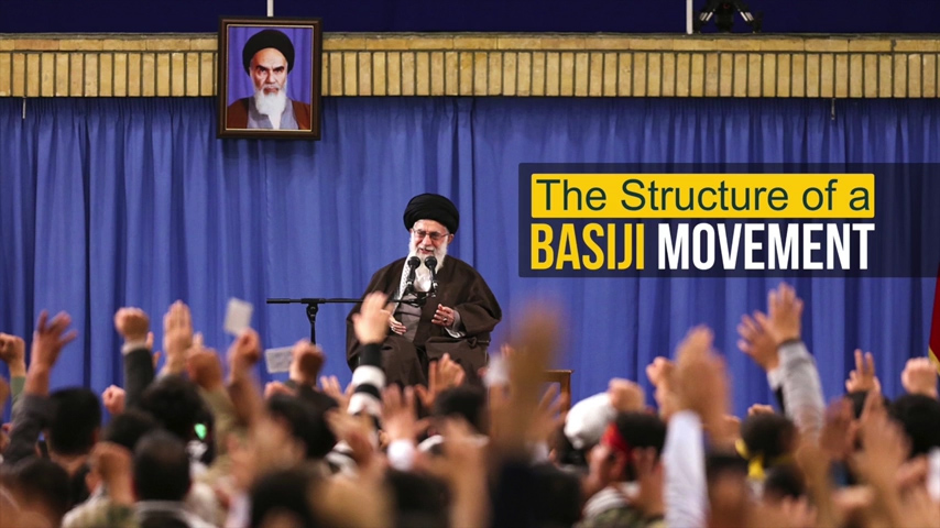 The Structure of a Basiji Movement