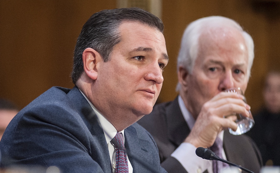 Sen. Ted Cruz, R-Texas, gives a statement during a Senate Foreign Relations Committee hearing on Capitol Hill in Washington, D.C.