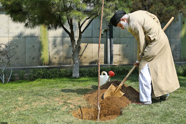 Ayatollah Khamenei planting two fruit tree saplings 
