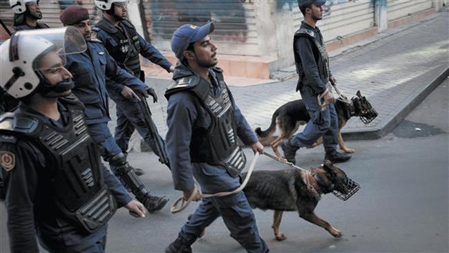 Bahrain Police Dogs