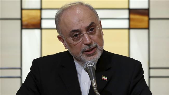 Head of the Atomic Energy Organization of Iran (AEOI) Ali Akbar Salehi
