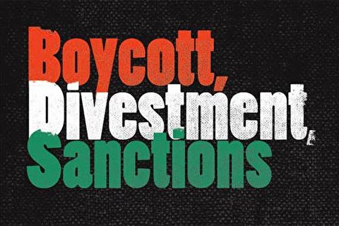 UN experts unveil letter slamming Germany's pro-Israel law targeting BDS movement