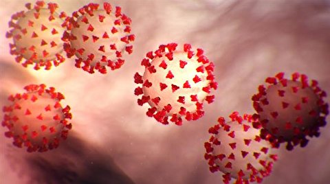 Is coronavirus a weapon of biological warfare?