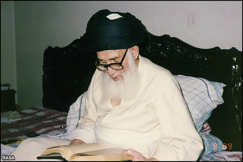 فقيه آگاه به روايت تصوير / حضرت آيت الله سيد محمدرضا گلپايگاني