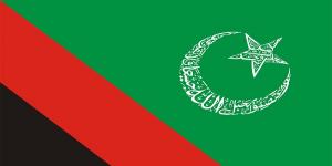  پرچم مجلس وحدت مسلمين پاکستان