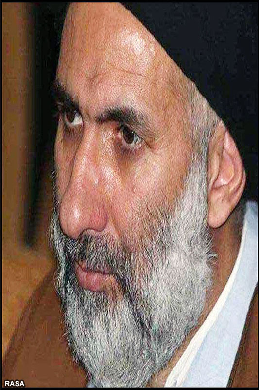 حجت‌الاسلام سيد ابوالحسن فاطمي 