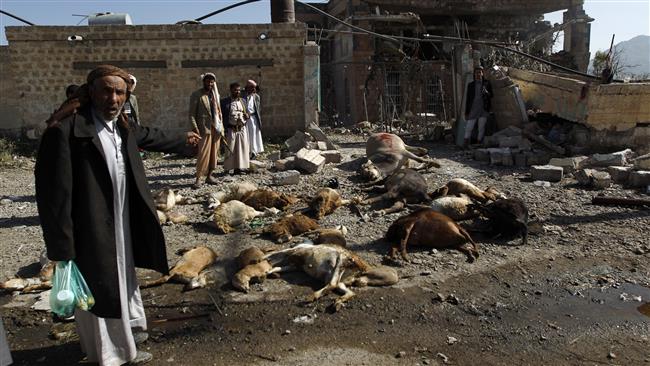 Yemenis stand near dead animals and a destroyed house following an airstrike by Saudi-led coalition airplanes in the capital Sana