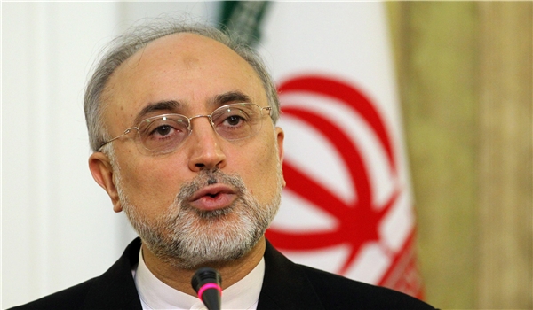 Head of the Atomic Energy Organization of Iran (AEOI) Ali Akbar Salehi 