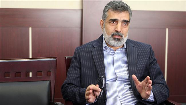 Spokesman for the Atomic Energy Organization of Iran (AEOI) Behrouz Kamalvandi
