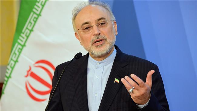 The file photo shows Ali Akbar Salehi, the head of the Atomic Energy Organization of Iran (AEOI).
