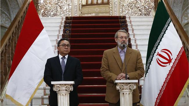 Iranian Parliament Speaker Ali Larijani (R) and the chairman of the Indonesian People