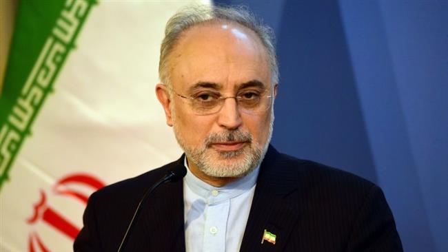 Ali Akbar Salehi, the head of the Atomic Energy Organization of Iran