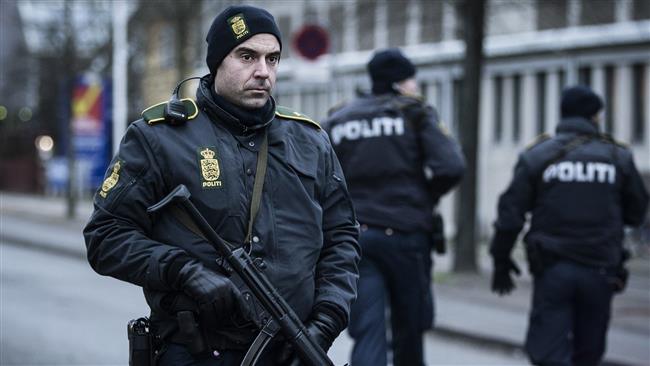 Danish police personnel