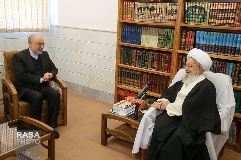 Ayatollah‌‌ ‌Makarem and Ali-Akbar Salehi