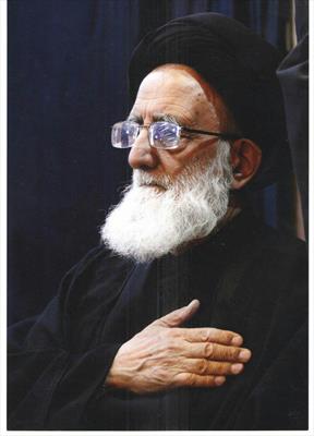 آیت الله سید مهدی ابن الرضا
