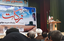 معاون هماهنگی و پیگیری شورای عالی زکات