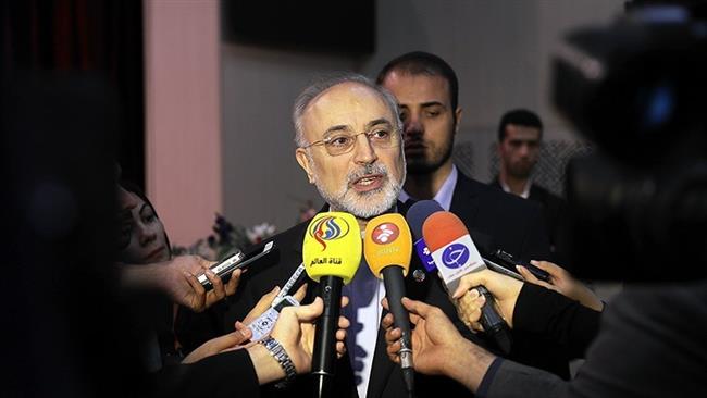 Head of the Atomic Energy Organization of Iran Ali Akbar Salehi
