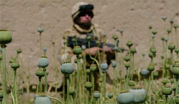Us soldier in an opium farm in Afghanistan