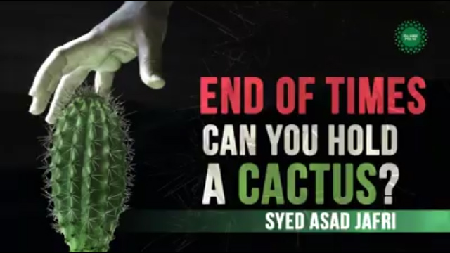 End of Times | Can you hold a cactus? | Syed Asad Jafri