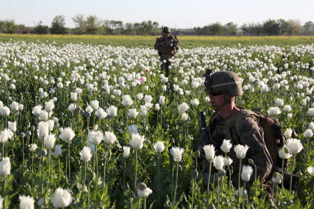 US soldier in opium farms