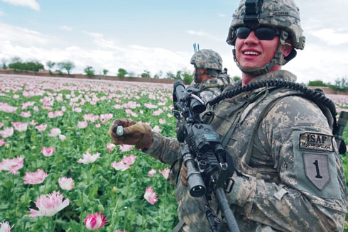 US soldiers in poppy farm