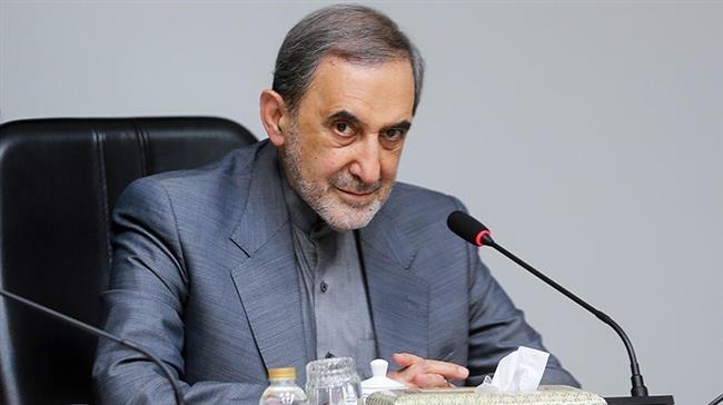 Ali Akbar Velayati, a senior advisor to Leader of the Islamic Revolution Ayatollah Seyyed Ali Khamenei (file photo)
