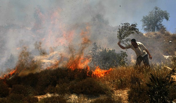 Israeli Settlers Set Fire to Palestinian Crops South of Hebron
