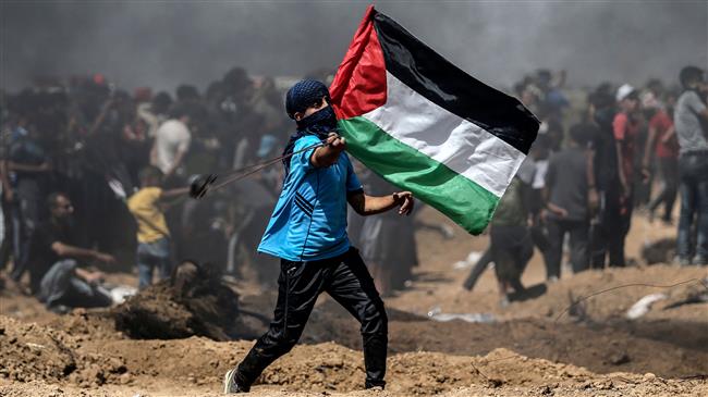 A Palestinian protester waves his national flag during a demonstration along the border with the Israeli-occupied territories east of Jabalia in the central Gaza Strip on June 8, 2018. (Photo by AFP)
