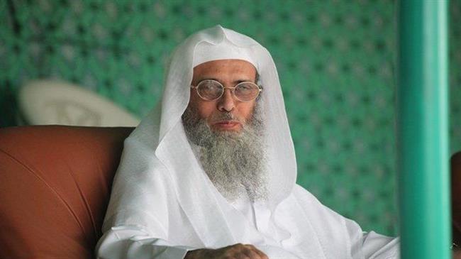 Saudi Muslim scholar Sheikh Safar al-Hawali (file photo)

