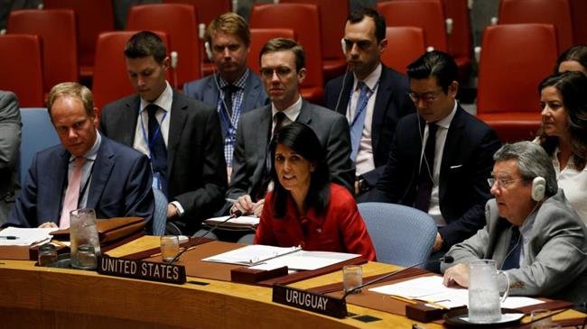 US Ambassador to the UN Nikki Haley (C) speaks at a Security Council meeting. (File photo)
