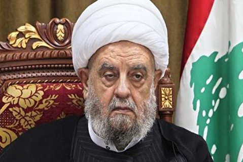 Heads of Muslim countries should obediently follow Amir al-Momenin (AS)