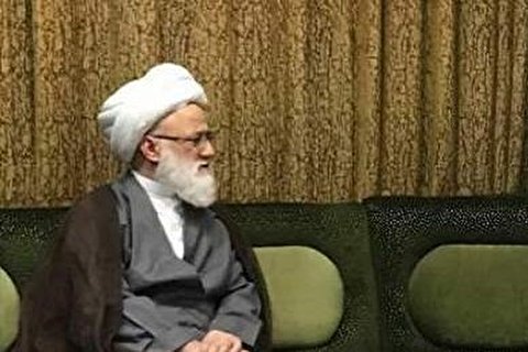 Iranian seminary teachers and students met Ayatollah Yaqubi in Najaf