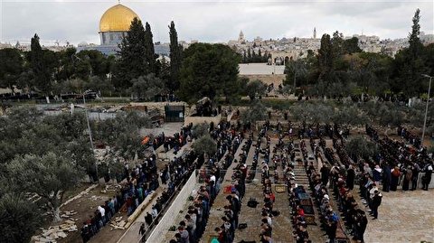 A national referendum in territory of Palestine