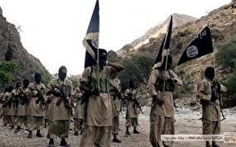 Saudi-Led Coalition Transfers Hundreds of Al-Qaeda Terrorists to Ma'arib