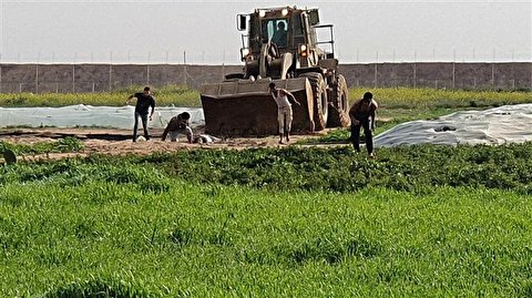 Israel’s desecration of Palestinian corpse in Gaza war crime: Rights group