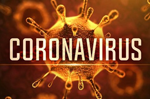 Coronavirus: The reality vs propaganda