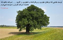 منظور از سجده درختان در قرآن چیست؟
