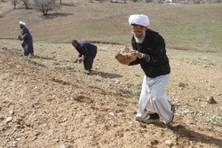 حضور مستمر امام جمعه شهرکرد در مناطق محروم؛ سنتی دیرینه