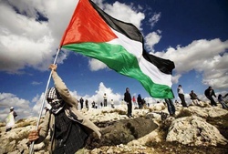 نخستین وبینار بصیرت‌افزایی با محوریت فلسطین برگزار شد