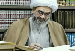 قدردانی آیت الله صفایی بوشهری از طلاب جهادی قم برای خدمت به بیماران کرونا