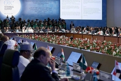 درخواست از سازمان همکاری اسلامی و اتحادیه آفریقا برای حمایت از کشمیر