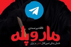 «مار و پله» داستان زندگی زنی که ادمین کانال داعش در ایران بود