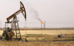 آمریکا برای غارت نفت سوریه در الحسکه پالایشگاه احداث می‌کند