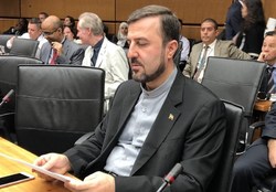 پاسخ غریب‌آبادی به ادعای آزار جسمی یک بازرس آژانس اتمی در ایران
