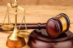 ابعاد جدیدی از حکم قاضی، برای سارق بادام هندی