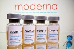 مدرنا واکسن اصلاح شده اُمیکرون تا اوایل ۲۰۲۲ تهیه می کند