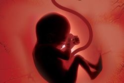 سقط جنین و هولوکاست زیرزمینی دشمن