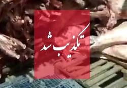 ورود گوشت های حرام و غیر بهداشتی تکذیب شد